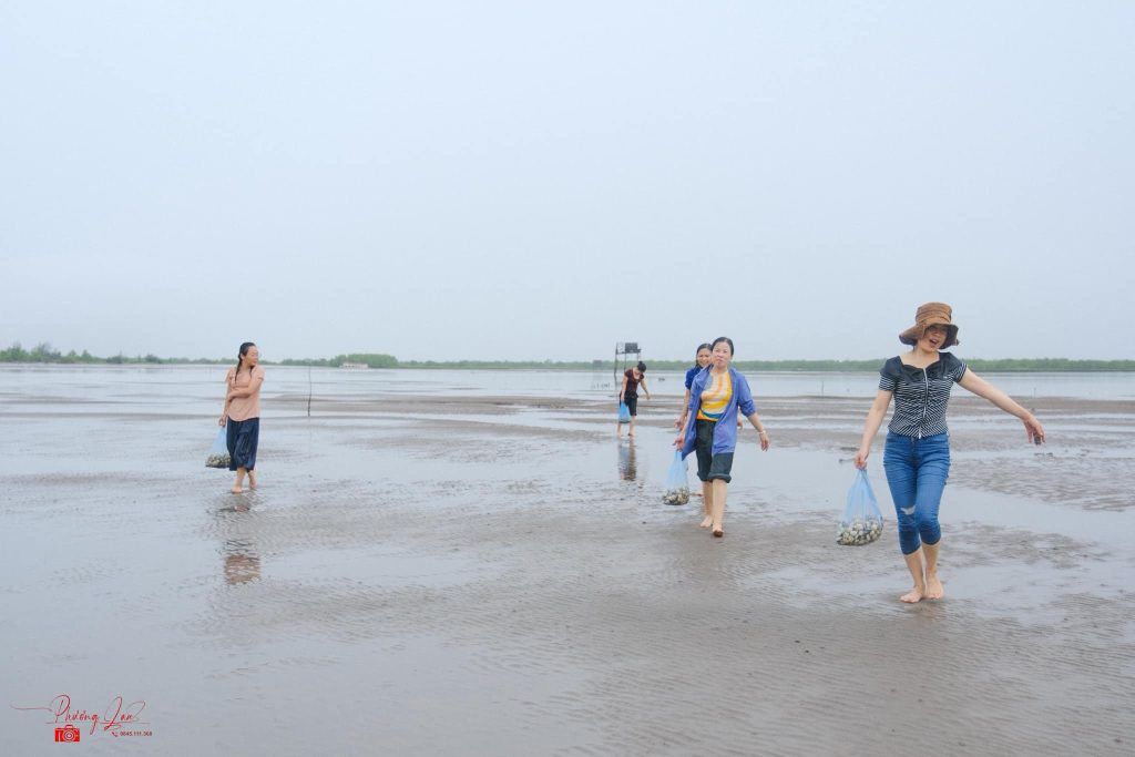 trải nghiệm bắt ngao tại vườn quốc gia xuân thủy