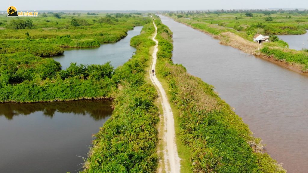hệ thực vật tại vườn