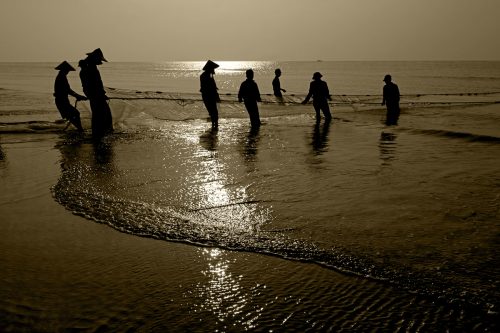 Kéo rùng ở Thịnh Long - Nam Định