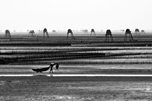 Đồng Châu - Thái Bình