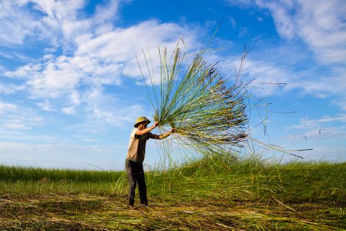 Rũ Bổi ở làng cói Nga Tân - Thanh Hóa