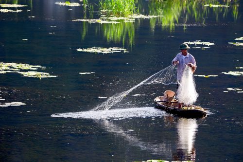 Ngư dân đầm Vân Long - Ninh Bình