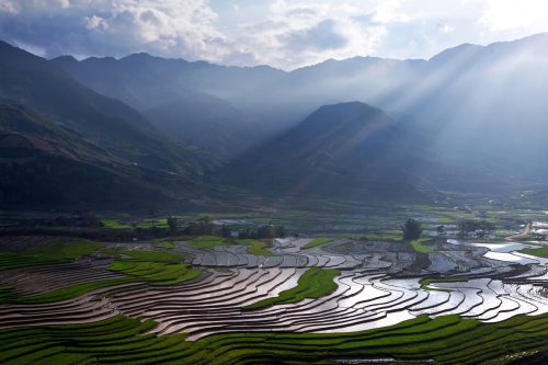 Ruộng bậc thang Cao Phạ mùa nước đổ