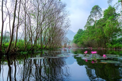 Suối Yến - Chùa Hương