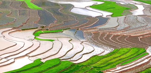 Anh Dep Viet Nam