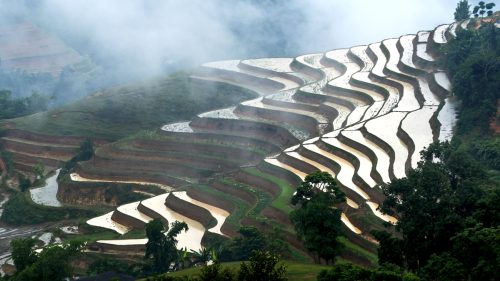 Anh Dep Viet Nam