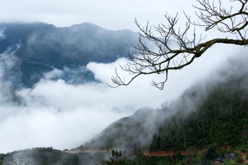 Anh Dep Viet Nam