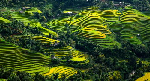 Anh Dep Viet Nam