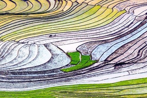 Ruộng bậc thang Y Tý mùa nước đổ