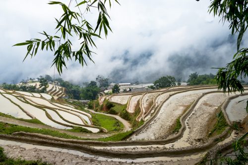 Ruộng bậc thang Bản Luốc - Hoàng Su Phì - Hà Giang