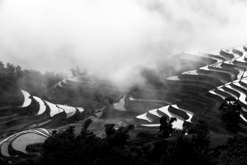 Ruộng bậc thang Hoàng Su Phì - Hà Giang