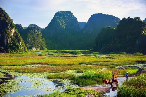Đầm Vân Long - Ninh Bình